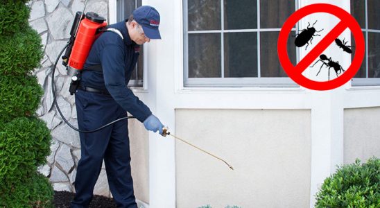 Feke Hamam Böceği İlaçlama böcek ilaçlama ve haşere kontrolü — ilaclama-tr.com